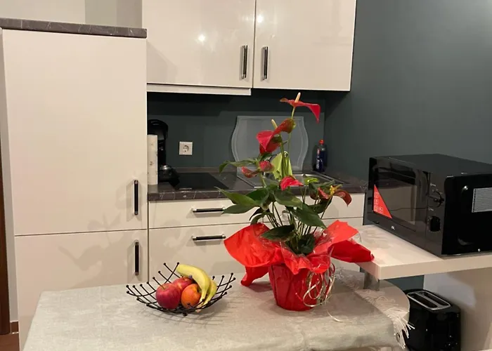 公寓 7 20 Km Dus Airport Messe *